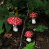M-Modern-3Pcs/Set Mini Mushroom Glow In The Dark Resin Crafts Fairy Garden Miniatures Garden Ornament Terrarium Figurines Decor