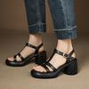 Summer Square Heel Buckle Platform Women's High-heeled Sandals New Casual Solid Color Roman Sandals Rubber Soft-soled Women's Shoes
