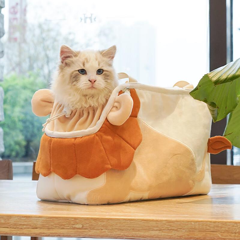 Portable Canvas Pet Carrier Backpack