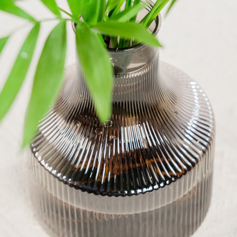 Hydroponic Flower Pot Home Vase Decoration Transparent Plastic Soilless Pot Green Pot Home Decoration