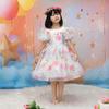 2024 New European & American Girls' Puff Sleeve Floral Mesh Tulle Princess Dress
