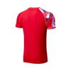 Li-Ning Badminton Series Color Block Printed V-Neck Pullover Short Sleeve Badminton Shirt Unisex tops Crimson-Red AAYU229-3