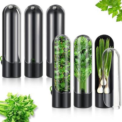 Cilantro Storage Box for Refrigerator Herb Keeper with Clear Lid Adjustable Vents BPA-Free Preserves Vegetables Freshness Herb Storage Container for