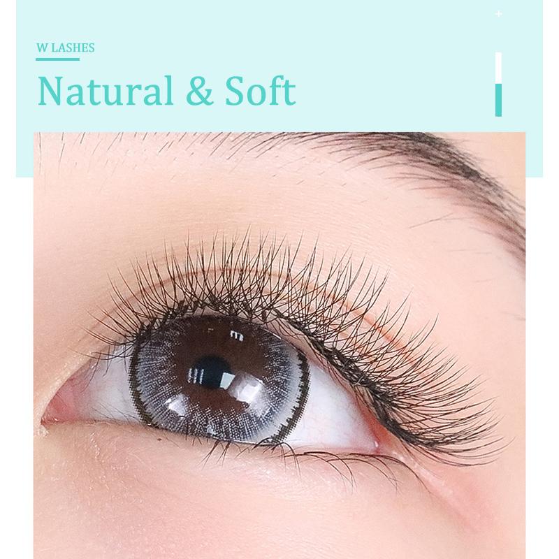 HOLLYLASH YY/W Shaped 2D 3D 4D 5D 6D Hand Woven Automatic Flowering Premade Volume Fans Eyelashes Extensions Individual Lashes