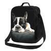 Pit Bulls Lunch Bag with Adjustable Shoulder Strap Reusable Thermal Bento Tote for Work Picnic Beach