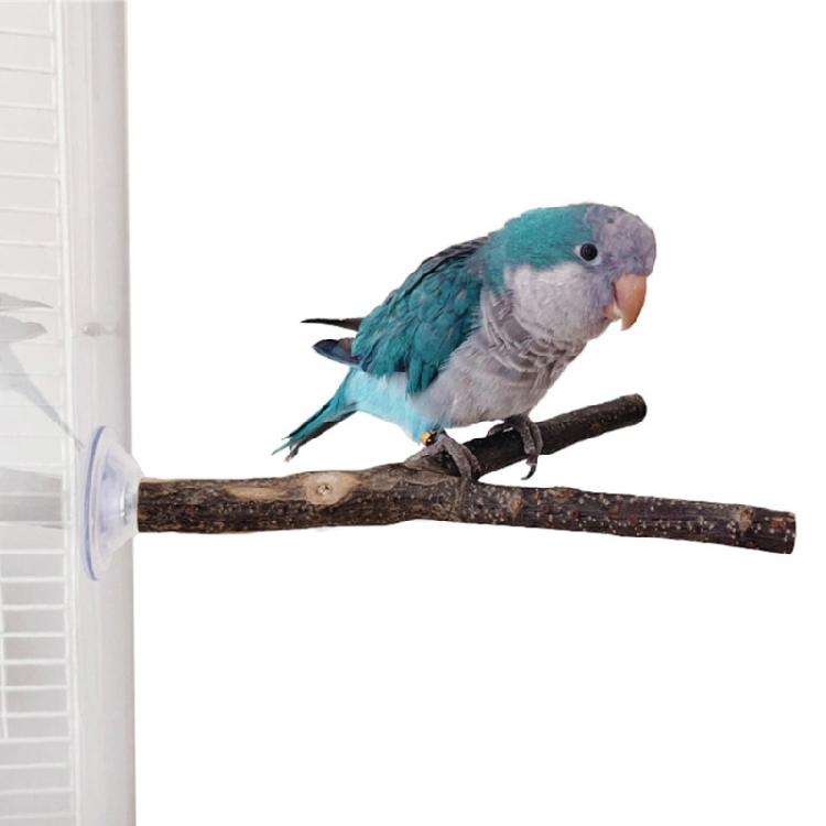 3pack Portable Parakeets Grinding Stick Training Toy Strong Suction Cup Bird for Parakeets Budgies Cockatiel Conure