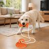 Kreative bissfeste Hundesaugnapfspielzeuge Zahnreinigung Langlebige Hundekauspielzeuge Verschleißfeste Zahnschleifspielzeuge Interaktiv