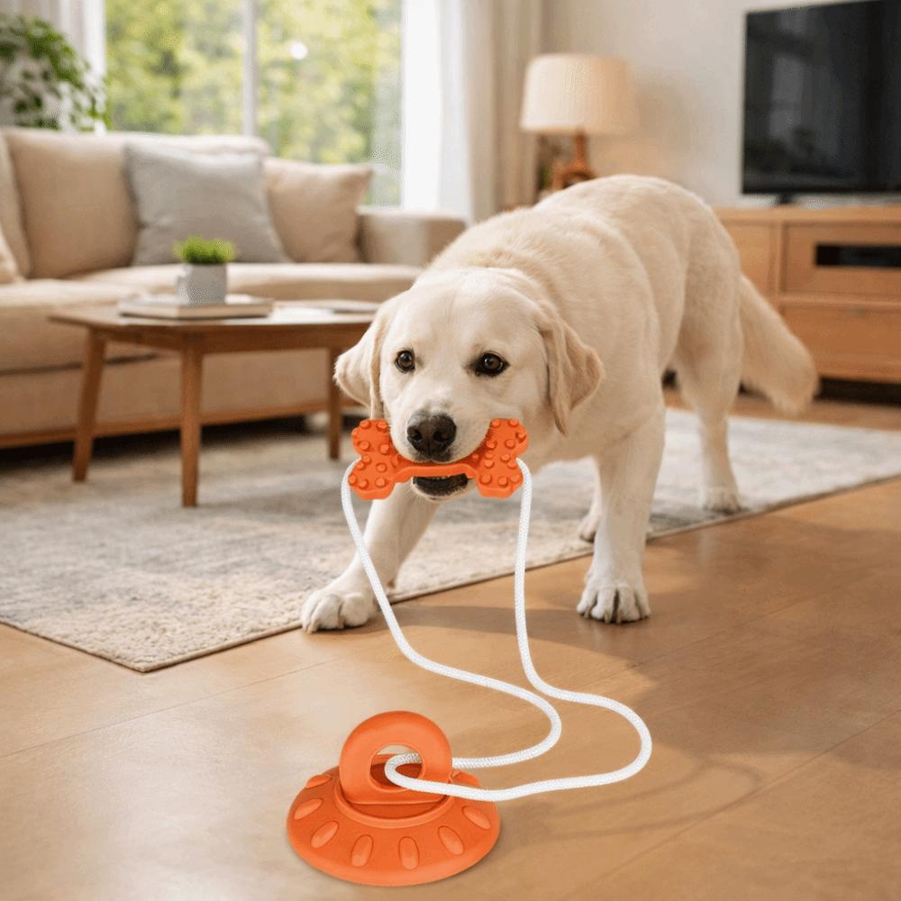 Kreative bissfeste Hundesaugnapfspielzeuge Zahnreinigung Langlebige Hundekauspielzeuge Verschleißfeste Zahnschleifspielzeuge Interaktiv