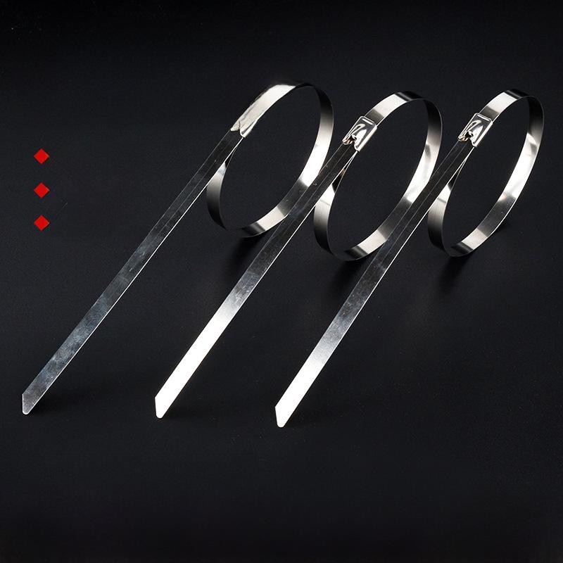 Marine Grade 304 Stainless Steel Cable Tie - Wear-Resistant, Metal, 4.6*8*12*100*300mm, White Steel.