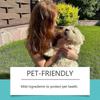 Yegbong Pet Deodorant Spray Pet Deodorant Cleaning Deodorant Lasting Fragrance Guardian Pet Health