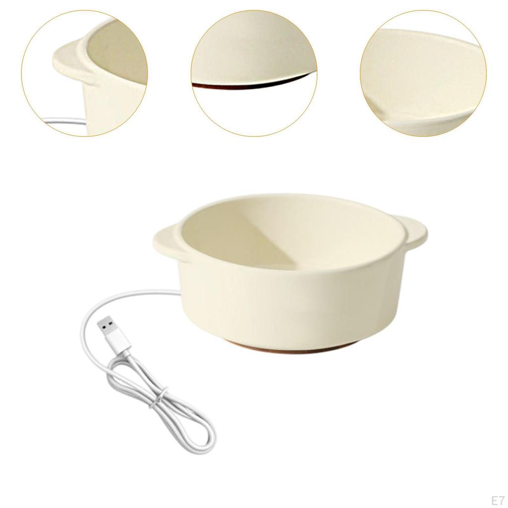 Pet Heated Bowl Ceramic Waterer Elevated Cat Dog Feeding for Winter