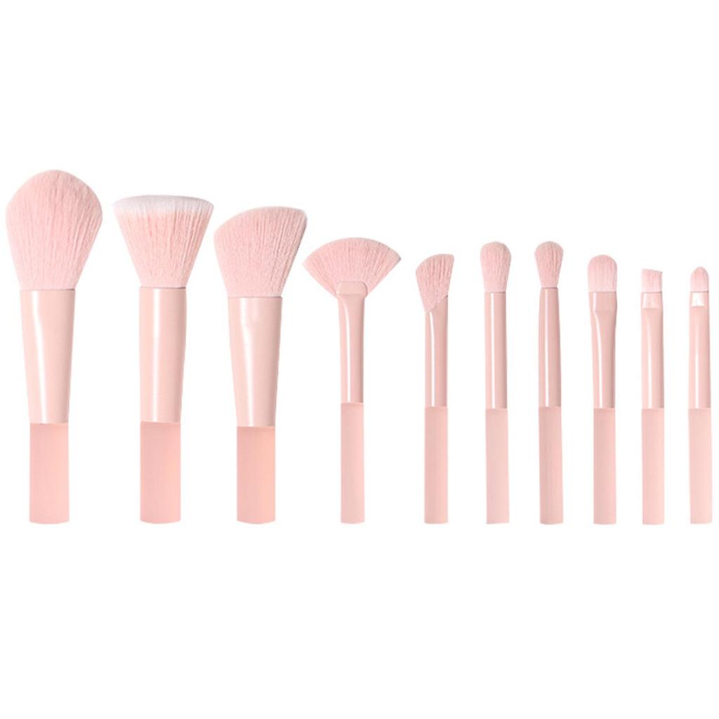 Cangzhou 10-teiliges Reise-Make-up-Pinselset: Tragbare Pinsel für losen Puder, Rouge, Nasenschatten und Lidschatten