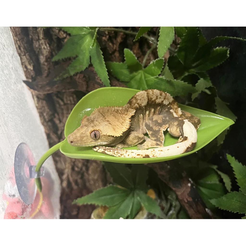Turtle Basking Platform 6PCS Tree Frog Tank Accessories Leaf Shape Bearded Dragon Platform Suction Cups Resting Leaves
