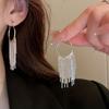 1 Pair Tassel Earrings, Long Temperament Earrings, Versatile And Fashionable Ear Accessories