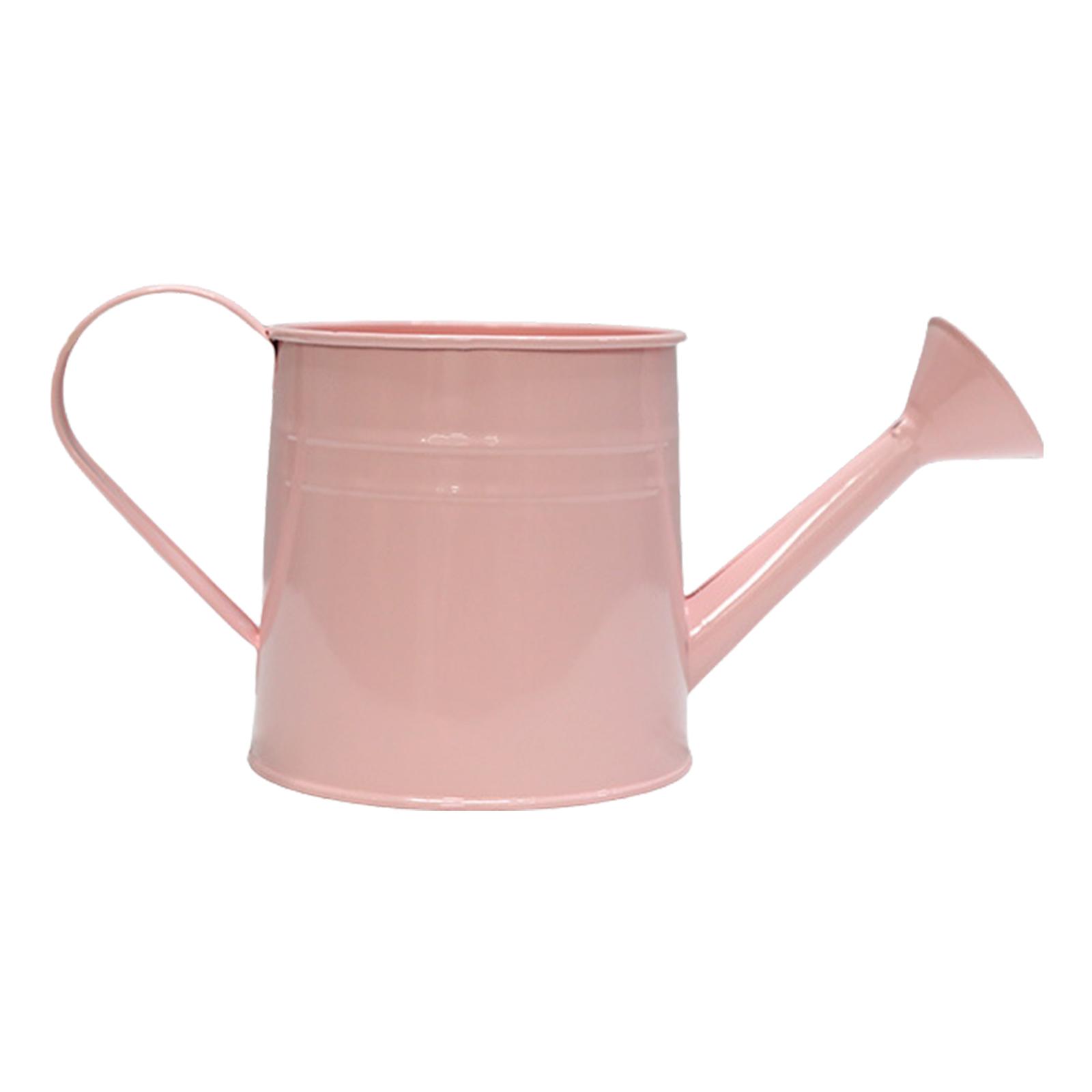 

Металлическая лейка, подставки для растений, стильная металлическая бутылка для полива, уникальная ваза для растений для украшения дома, офиса, сада розовый