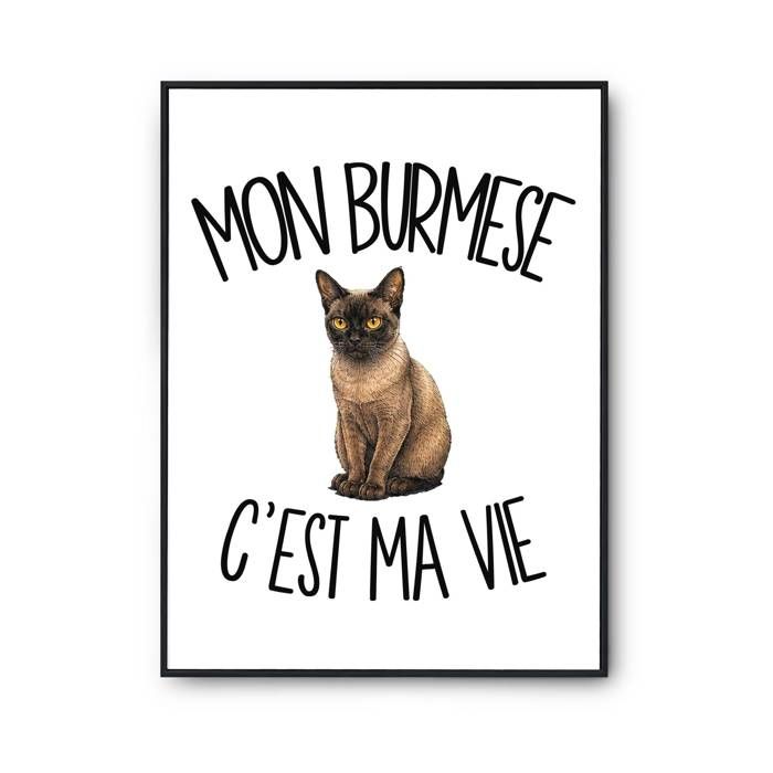 Poster Mon Burmese c'est ma vie | Affiche Papier Photo 310 g Finition Perlée Format Taille A3 | Décoration Murale Salon Chambre