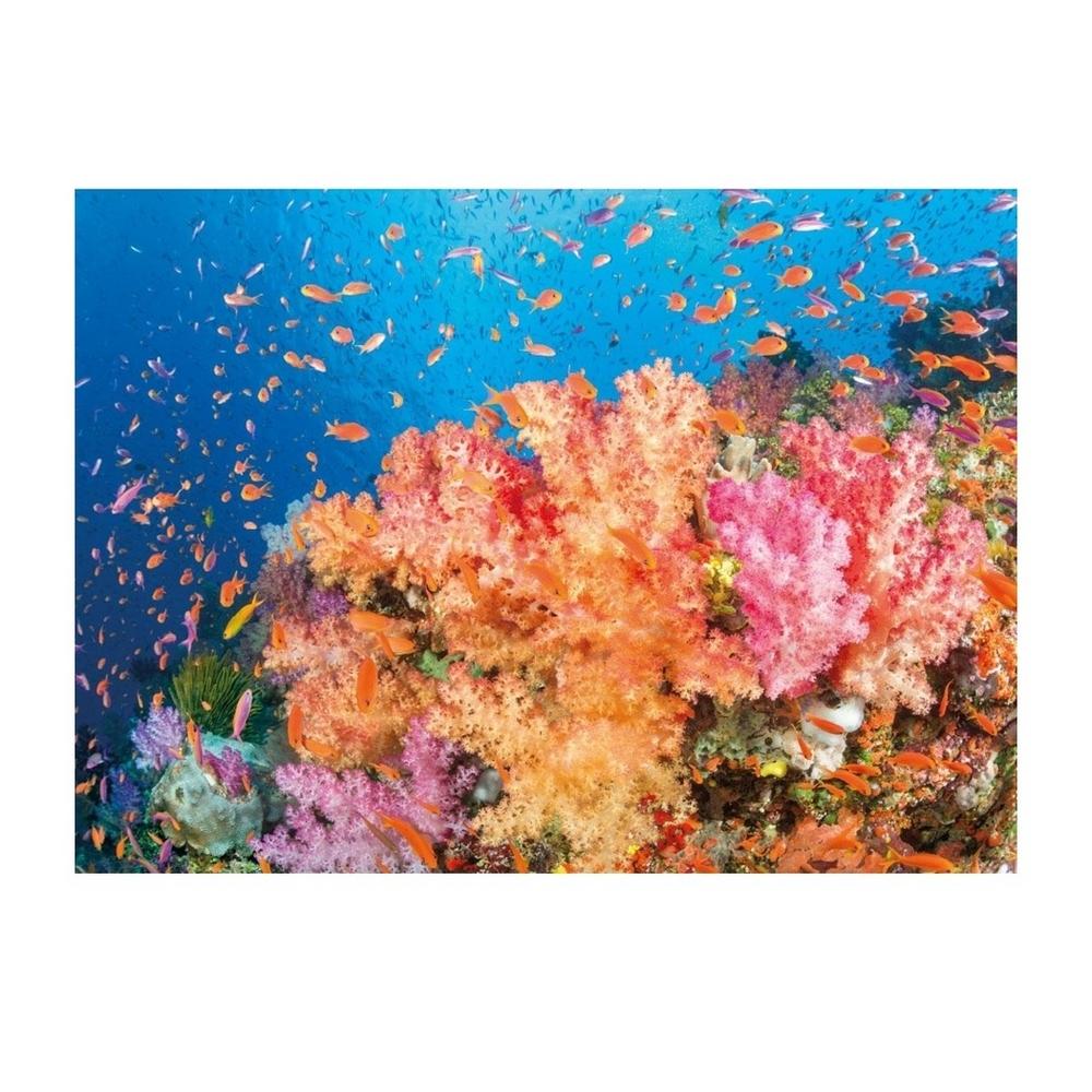David Fleetham Coral Reef - Fiji Print