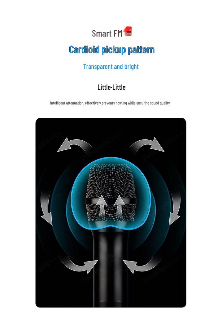 Two-in-One True Diversity Wireless Microphone for Professional Stage, Conference, Outdoor, Indoor, and Entertainment Use