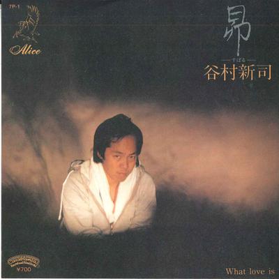 7inch Record SHINJI TANIMURA - Subaru / What Love Is 7P1 CASABLANCA 1980 Japan Japanese Pop/Rock Used