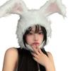 Aisare Usagi (Lovely Rabbit) Rabbit Headband, Halloween Cosplay, Korean Y2K Costume, Women's, Girls, Events, Headband (White)