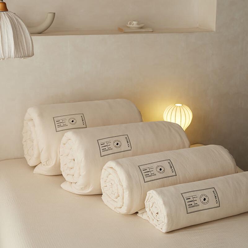 Brangdy Soybean Fiber Winter Quilt