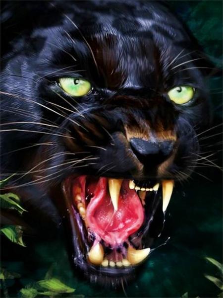 5d Diamant Malerei voller Bohrer Tiger Löwe Quadrat/Runde Stickerei Kreuzstich Tiere Mosaik Kristall Home Decor