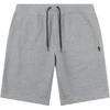 Polo Ss25 Pony Pattern Embroidered Drawstring Straight Leg Casual Shorts Men Shorts Light-Gray 710741703-002