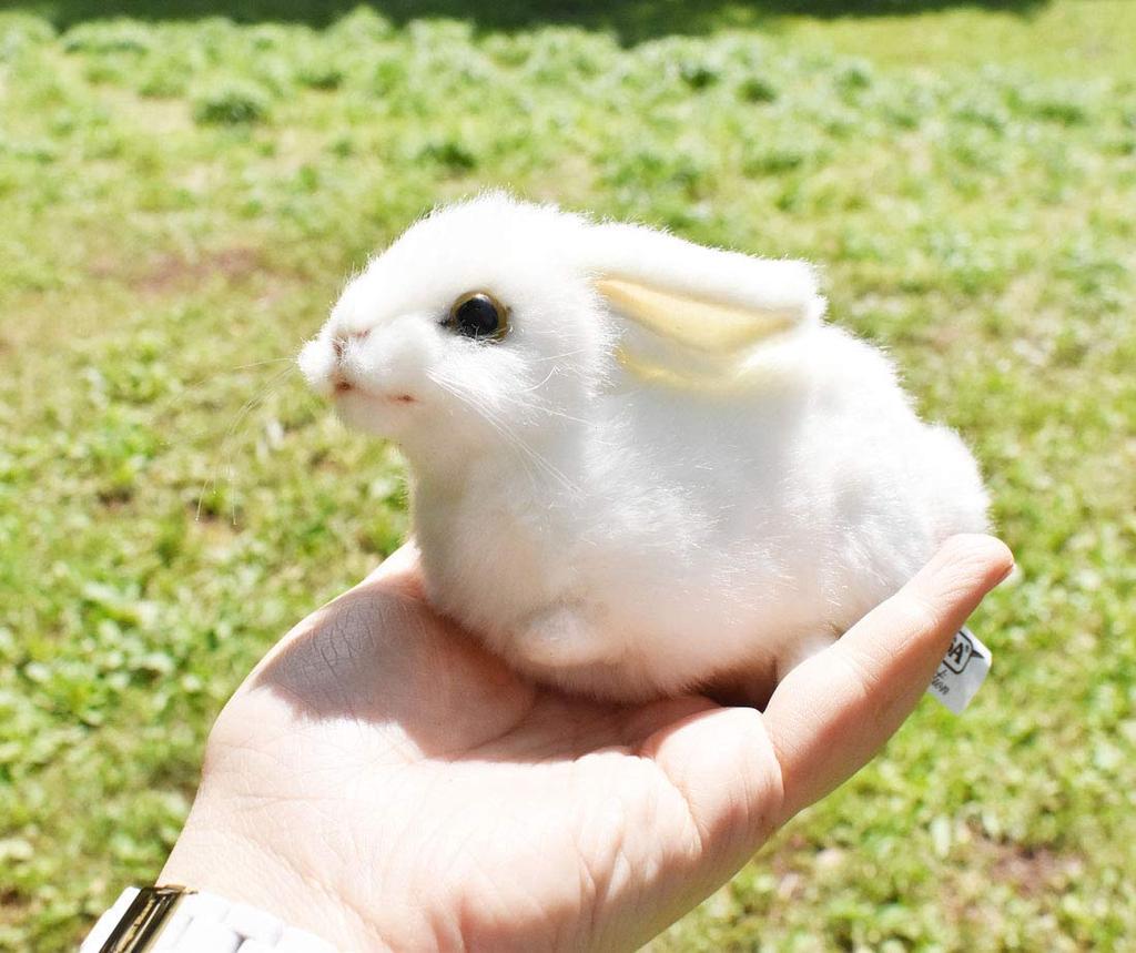 BH5823 HANSA Rabbit 16