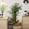 Tropical Plant Flower Tree Wall Stickers Self-Adhesive Fresh Simple Background Decorations For Home Garden