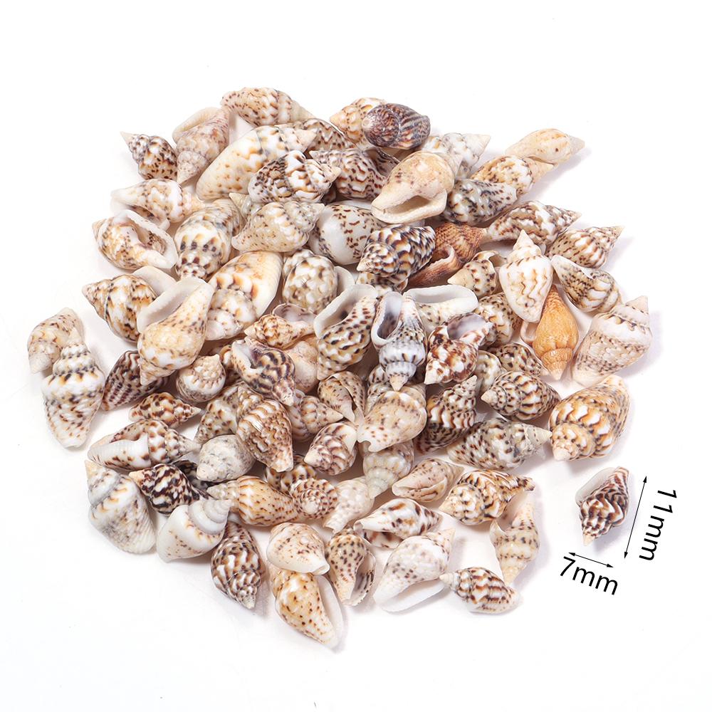 40g/bag Sea Shell Beads Tiny Conch Beads Undrilled Natural Shell Beads For Jewelry Making DIY Crafts Ornament Home Decoration
