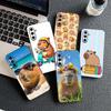 Cartoon Capybaras Phone Cover Soft Case for Motorola Moto G86 G57 E14 E15 G14 G34 G35 G84 G24 A54 G15 Power E22 Casing