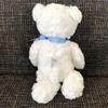 [USED] Familiar Famichan Bear Teddy Bear Plush Toy