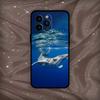 AAA Whale  Phone Case For iPhone 17,16,15,14,13,12,11 Plus,Pro Max,XS,Soft Silicone Black Cover