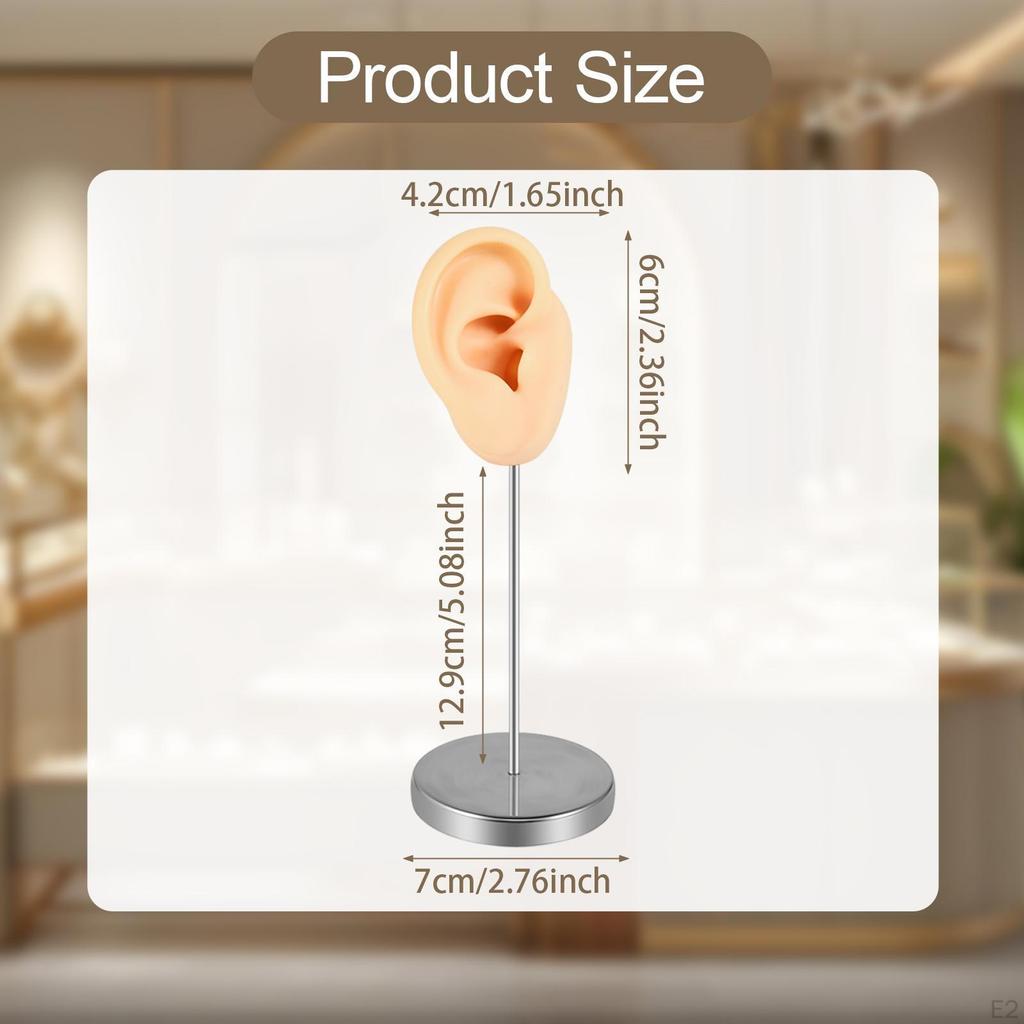 Ohrmodell, Ohrringschmuck-Display, Lehrmittel, Requisite, Edelstahlhalter, Ständer für den Einzelhandel,
