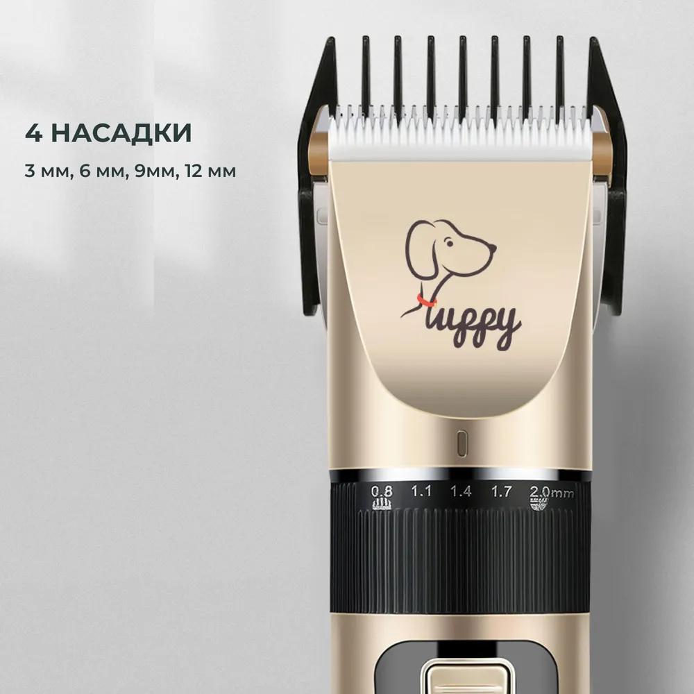 Maszynki fryzjerskie dla psów i kotów, termometry dla zwierząt i maszynki dla szczeniąt.