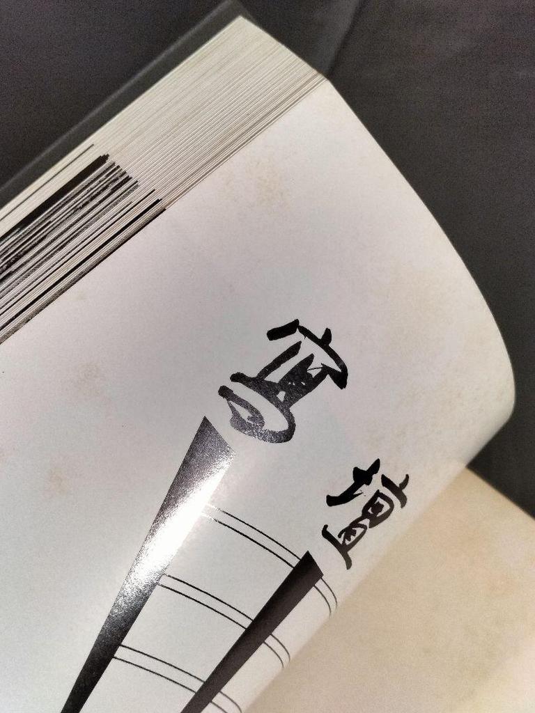 [USED] Photo Album Collection Vol. 1 Published August 1, 1978 by Seiji Inoue