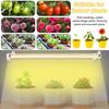 1/2/3/4 LED Strips Seedlings Vegs Flower Growing Lamp Indoor Plants Grow Light USB Full Spectrum Phyto Lamp Dimmable Timer