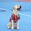 Comfortable Dog Hawaiian Shirts Hawaii Style Shirt for Dogs High Quality Pet T-shirts  Dogs