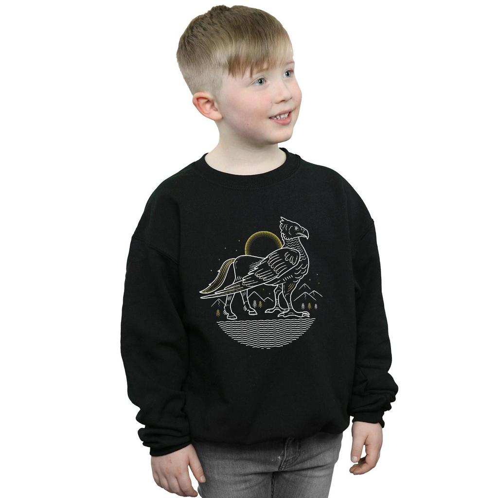 HARRY POTTER Boys Buckbeak Line Art Sweatshirt