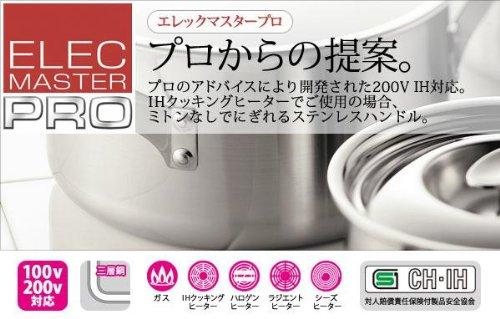 Fujinos Elec Master Pro (IH compatible) Tempura Pan 116567