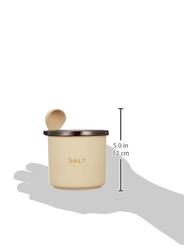 Ishigaki Sangyo Salt Pot 300ml with Spoon