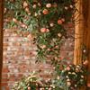 Simulated Flower Realistic Rose Long-lasting Hanging Artificial Faux Silk Flower Home Wedding Decor