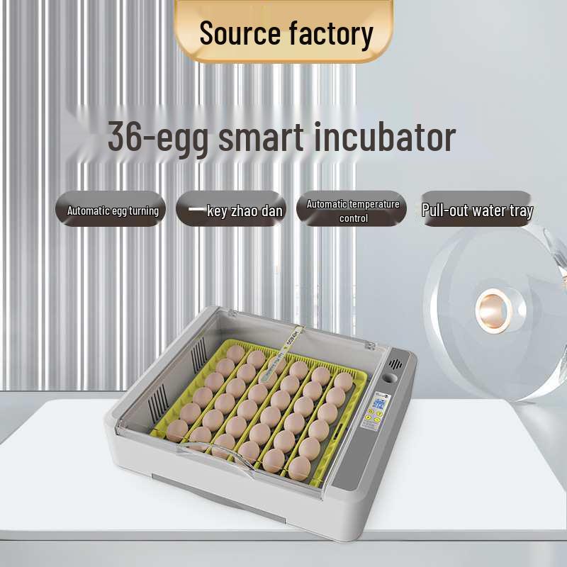 

36-Egg Incubator & Candling Equipment for Small-Scale Hatching