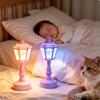 Mini LED Night Light Battery Powered Nordic Style Table Lamp Warm Atmosphere Bedside Lamp Creative Birthday Gift for Kids Bedroom Home Decor