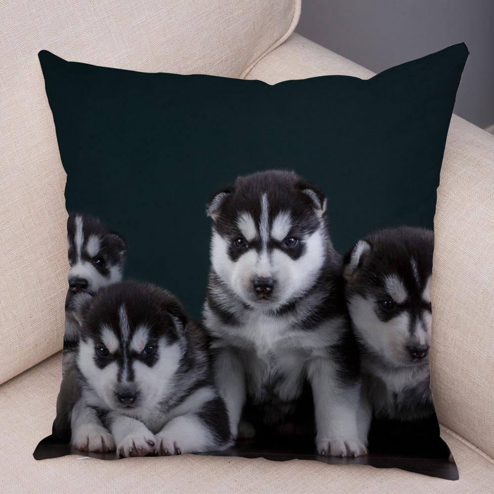 Pet Animal Sofa Cushion Cover Cute Siberian Husky Pillowcase Decorative Dog Print