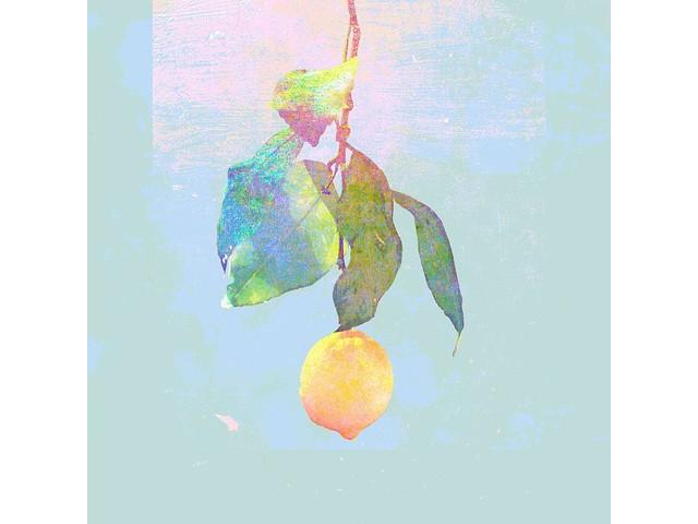 

[CD+DVD] Lemon Video Ver. First Edition Kenshi Yonezu SRCL-9747 J-Pop Single NEW