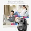 SAST Portable Outdoor Karaoke Trolley Speaker with Dual Microphones CN plug (adapter included)