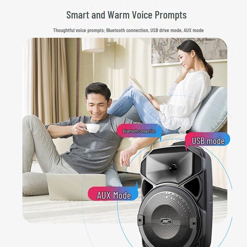 SAST Portable Outdoor Karaoke Trolley Speaker with Dual Microphones CN plug (adapter included)