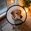 Pet Cone Collar Adjustable Cat Recovery Collar Dog E-Collar Prevents Licking Biting Wound for Postoperative Recovery Bathing And Nail Trimming