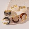 European And American Retro Brown Resin Letter U-shaped Geometric Hoop Earrings For Women Fashion Simple Metal Jewelry Gifts